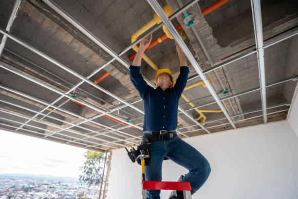 Best Plumbing Services Near Me  in Barnwell, SC